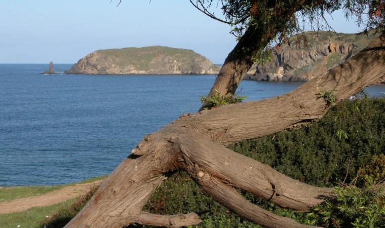 Appartamento In Casa Con Cortili Ad Arbus - Sardegna Εξωτερικό φωτογραφία